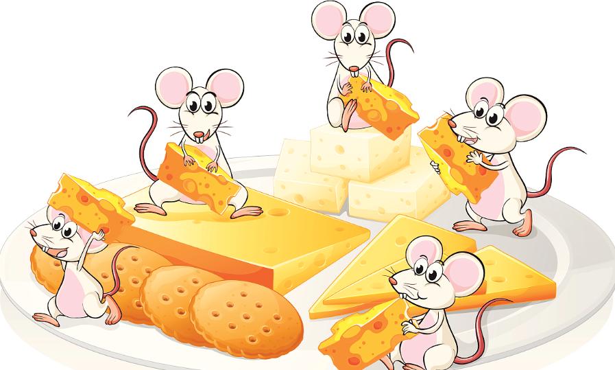 猫和老鼠天使杰瑞有多烦人,烦人的牛仔杰瑞视频