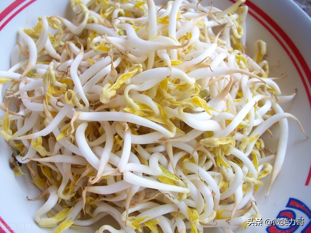 绿豆芽的发芽方法观察日记150字,绿豆芽的发芽方法观察日记