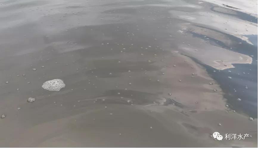 硫化氢泄漏时如何应急处理,硫化氢产生的原因及处理措施