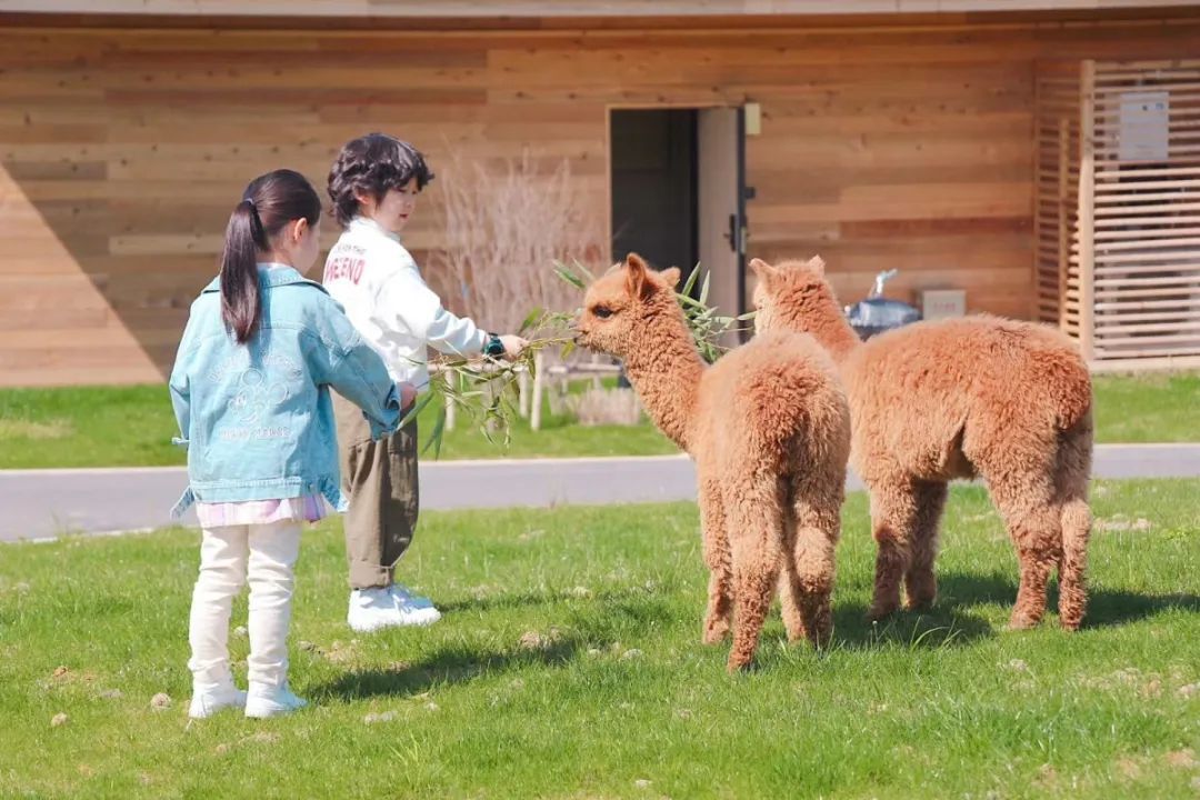 江浙沪附近避暑民宿,夏天莫干山性价比民宿推荐