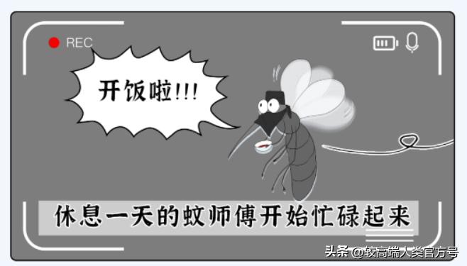 蚊子一关灯就出来开灯就找不到,开灯蚊子就跑关灯蚊子就过来