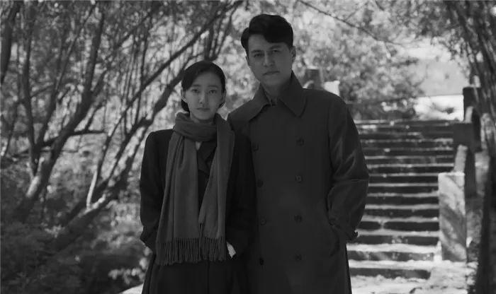 陈道明和王志文演的所有电视剧,谍战剧无间王志文扮演的角色