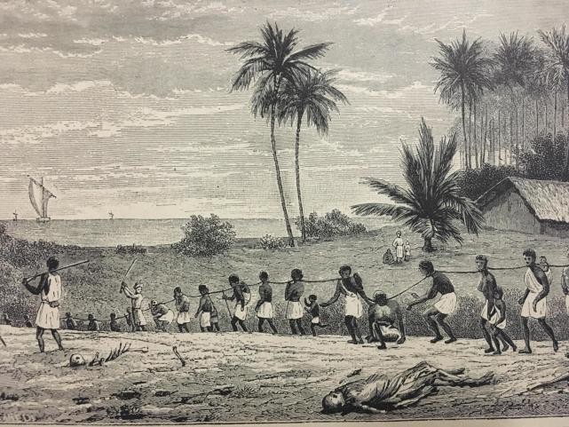 17世纪荷兰殖民情况,17世纪荷兰和英国