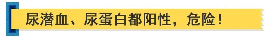 淋病尿常规有哪些异常,尿常规哪些不正常会是肾炎