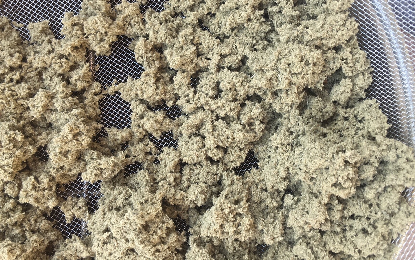 勤快一点多做一点没有错,勤快一点和努力一点