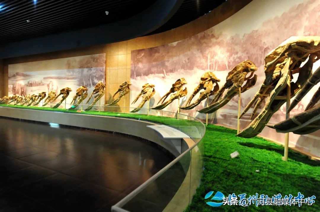 临夏回族自治州博物馆纪念物,临夏博物馆里有什么