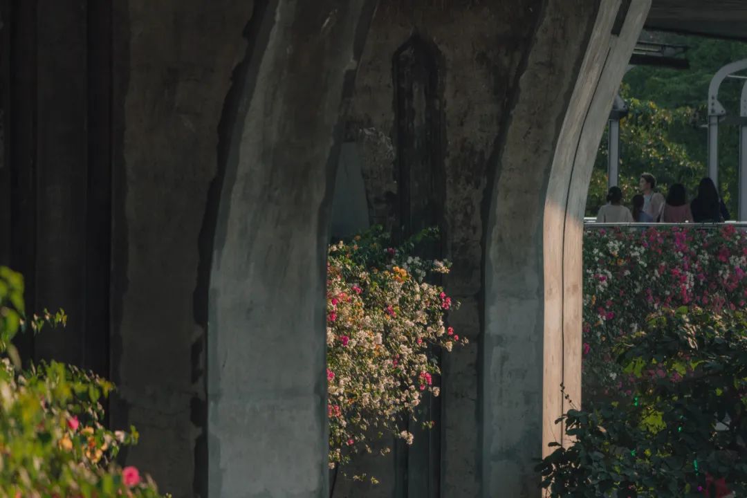 鍘绘嘲鍥芥浖璋峰拰鑺彁闆呯殑鏀荤暐,鍘绘嘲鍥界帺杞浖璋疯姯鎻愰泤