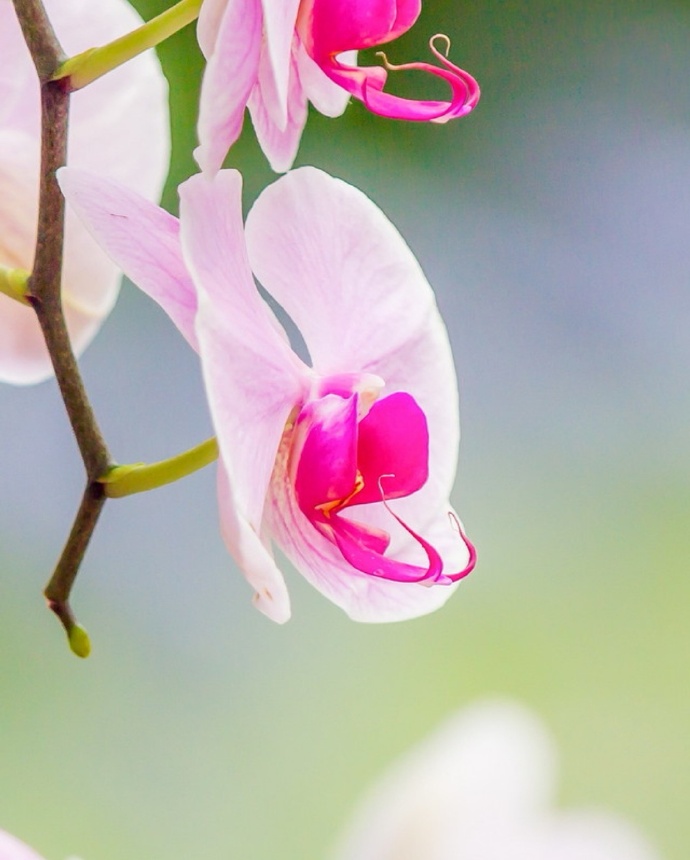 不管夫妻还是情人，若对方不联系你了，这么处理才最聪明