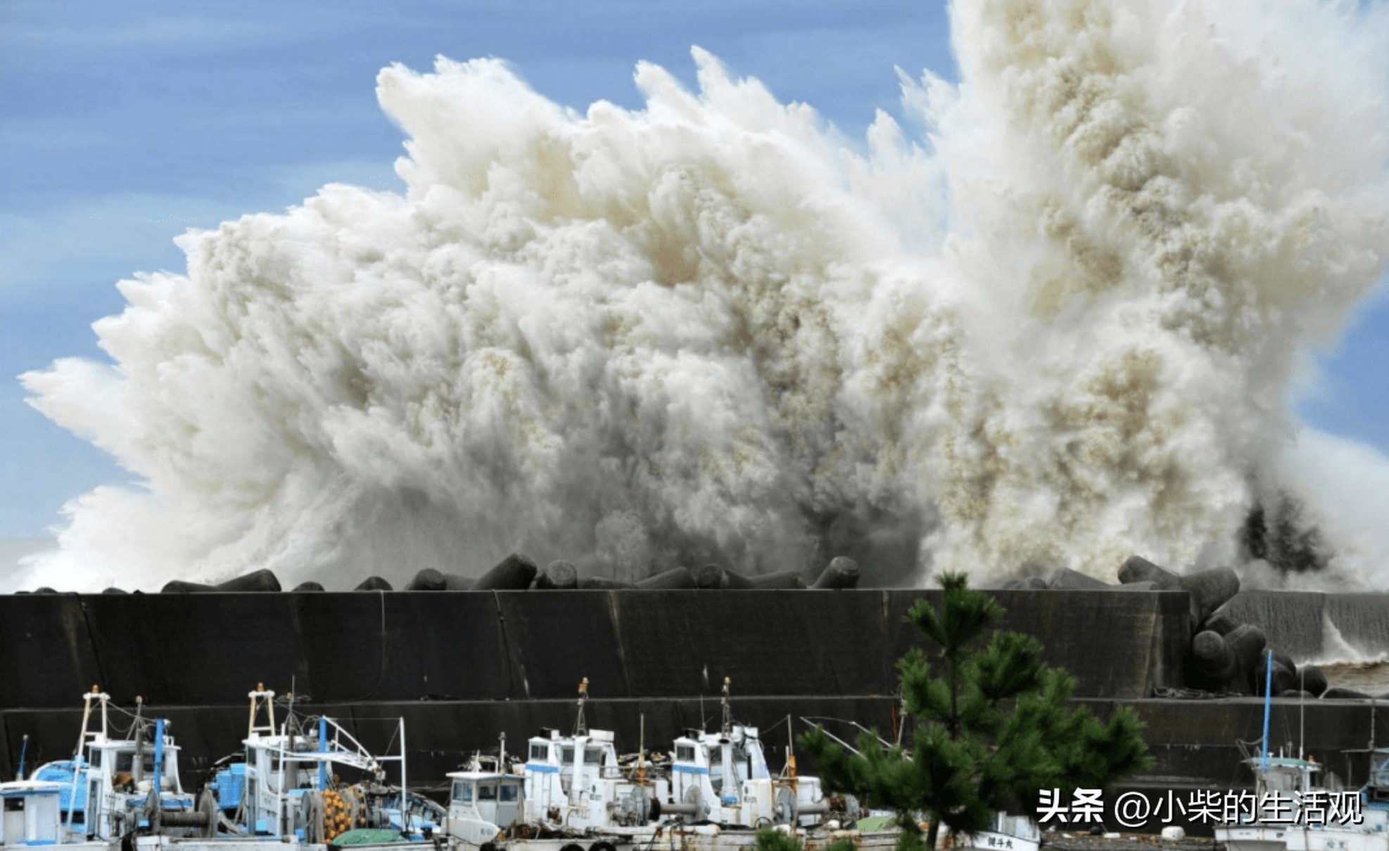 发生海啸时应该怎么躲避,发生海啸怎么自救