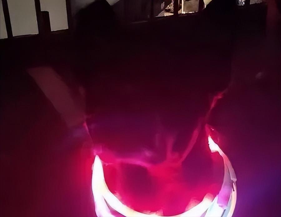 黑色拉布拉多和金毛哪个好养,农村养黑色拉布拉多