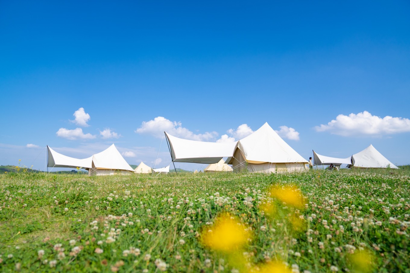 毕节油杉河景区,贵州夏季的避暑景点