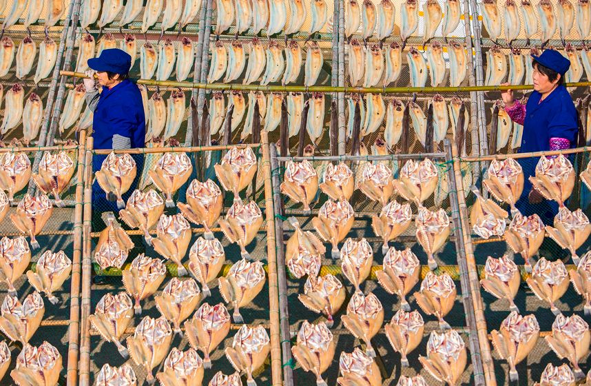 真吃不下了,这个靠海吃海的小县城怎么就能这么好吃