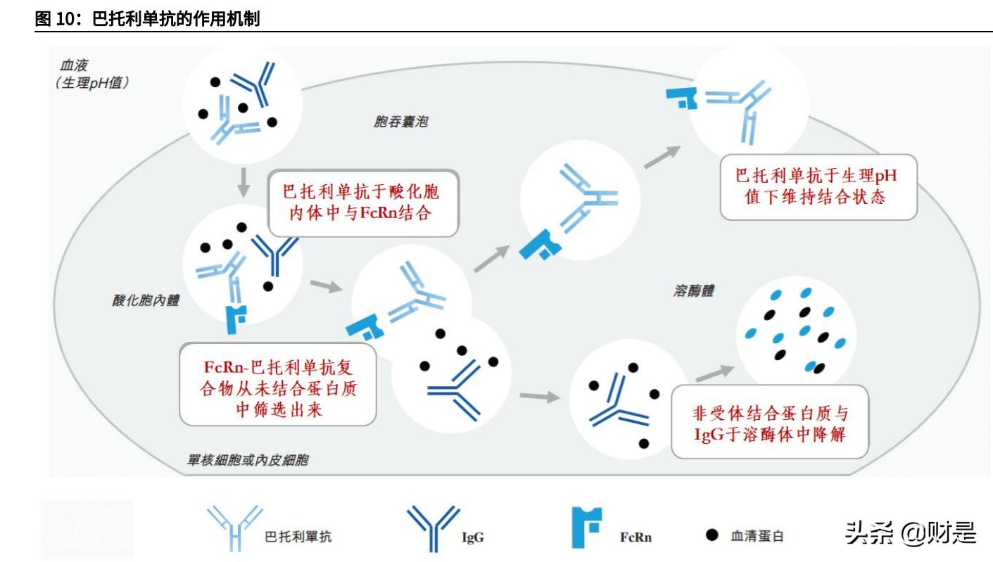 和铂医药是国企吗,和铂医药深度分析