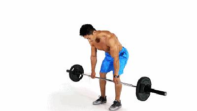 新人健身房健身一周训练计划,新手家庭健身一周训练计划