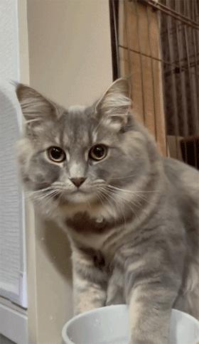 你有毛病吧！放着干净的水不喝，非要喝泡完脚自己jio的水……