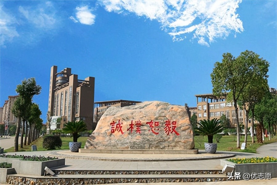 最好的热门大学推荐,口碑最好的大学推荐