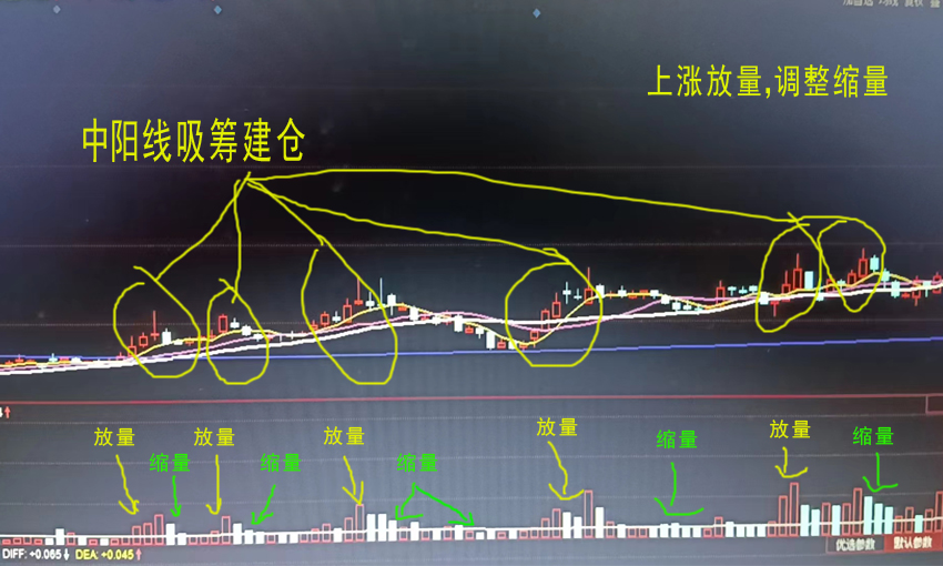 如何辨别庄股和游资股,机构主力游资庄家有什么区别