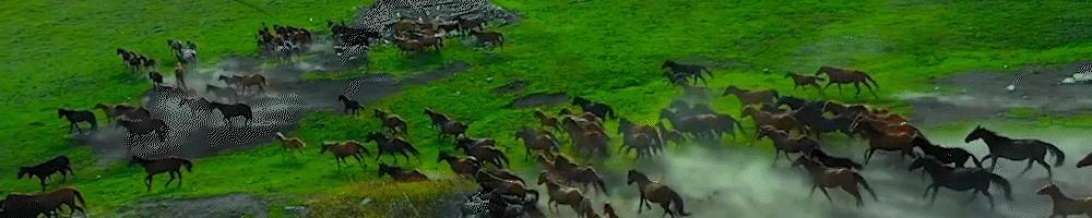 德国工厂8小时工作制,德国工厂一天工作几个小时