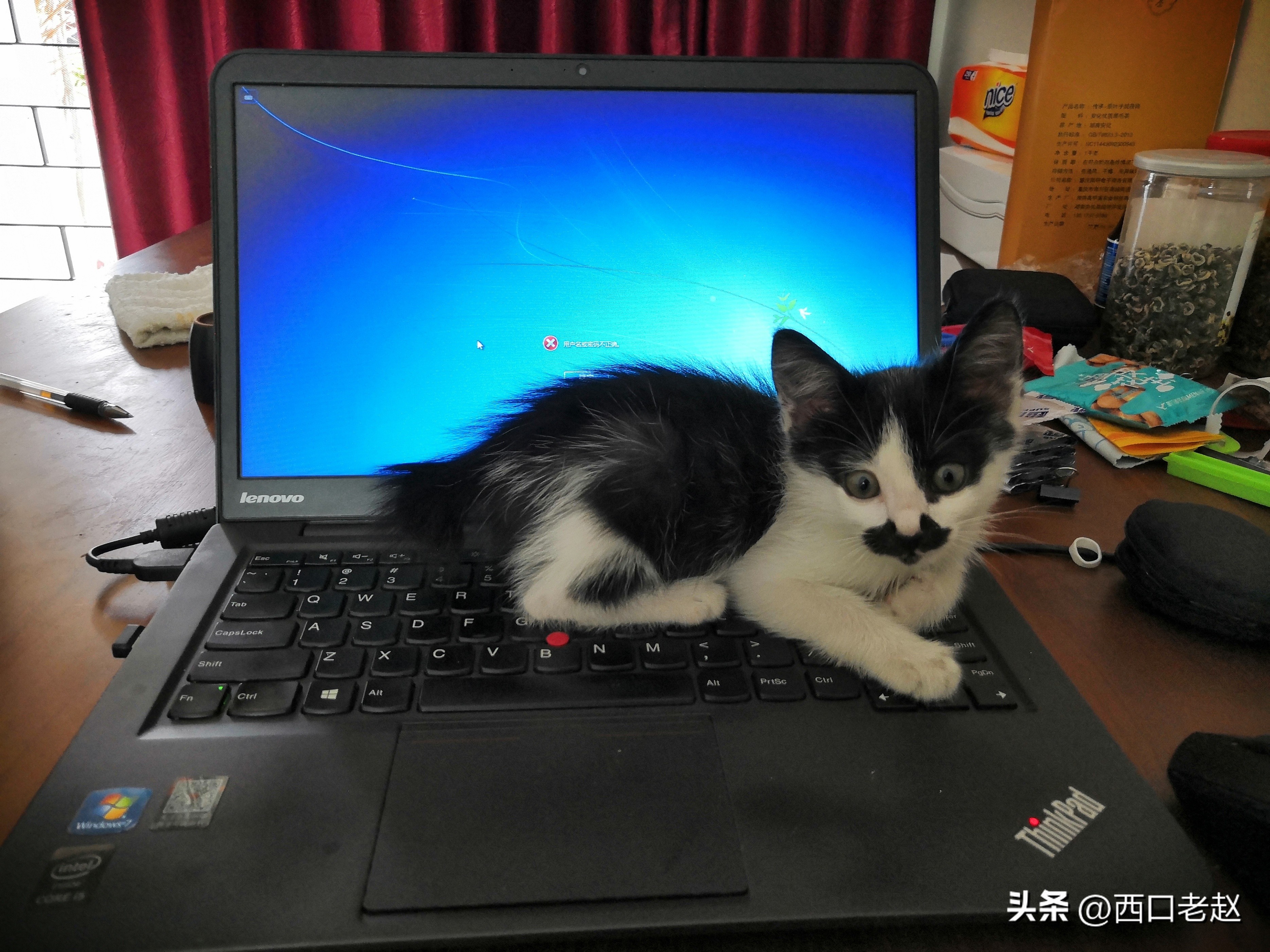 行走在国外的岁月33——致敬我的海外生涯