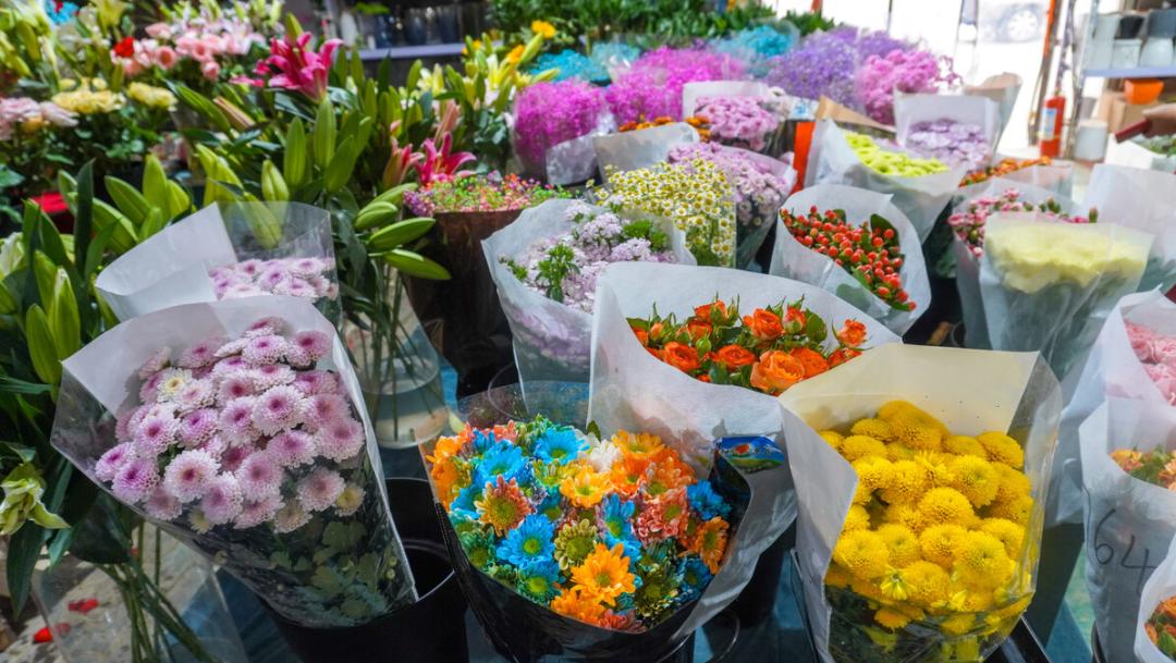 520送花|西安市内9大宝藏花市,分分钟省下上百块