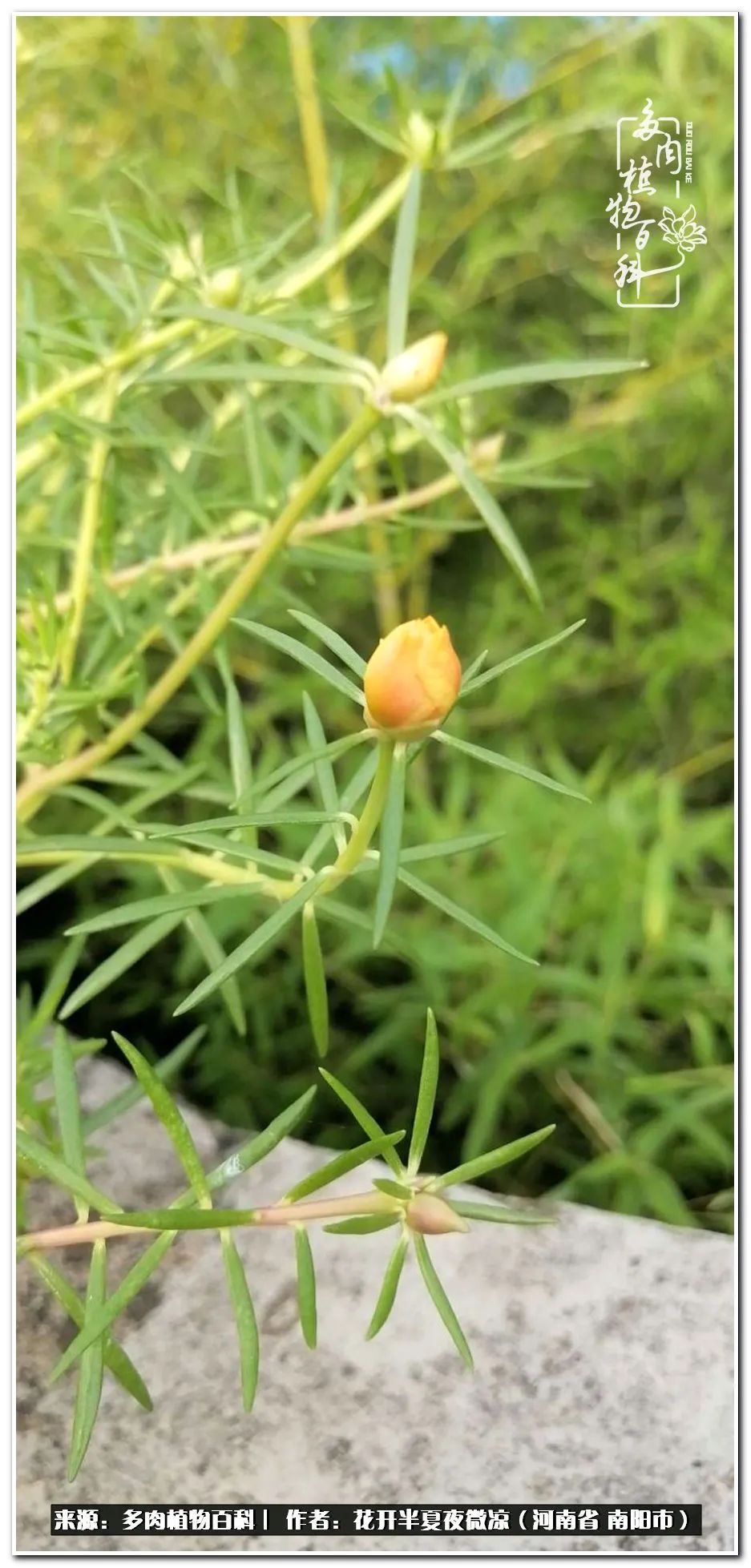 万事开头难只要坚持才有收获,万事开头难只要肯干就会有结果