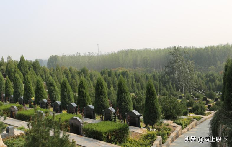 职业伴娘一个月多少钱,职业伴娘一般工资