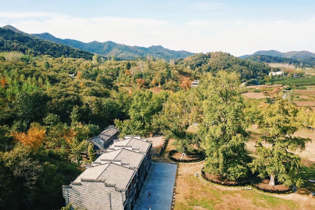 随州旅游景区夜景,随州大洪山金顶看日出