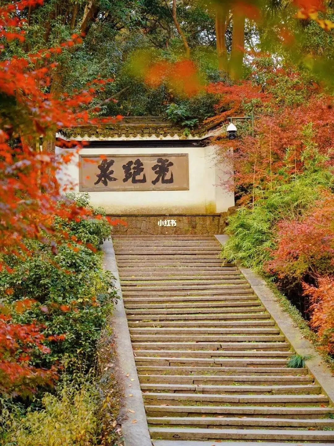 杭州西湖美景虎跑梦泉,杭州天下第三泉虎跑泉