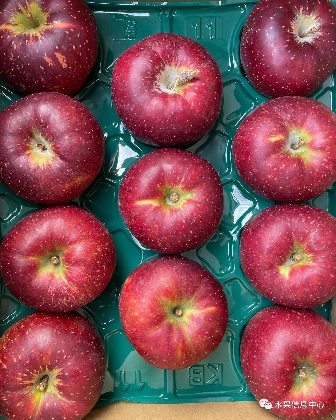 苹果排名第一是哪种苹果,苹果品种好吃排名