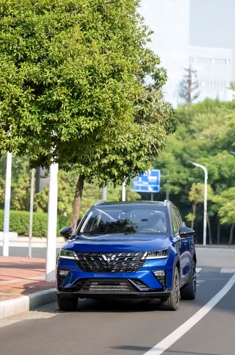 星驰觅食记，小院下午茶