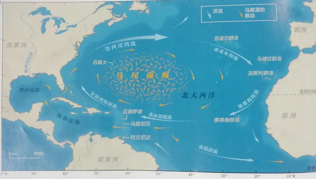100个奇葩地理冷知识,100个超级有趣的地理冷知识