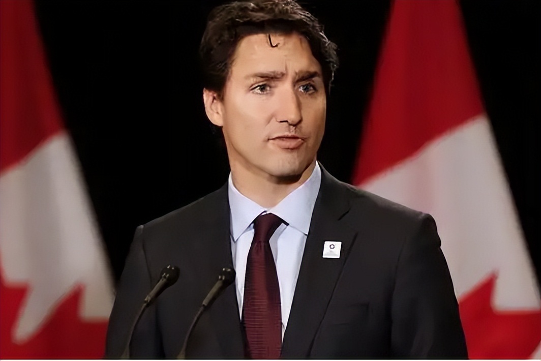 加拿大向乌克兰提供武器最新消息,加拿大将向乌交付武器