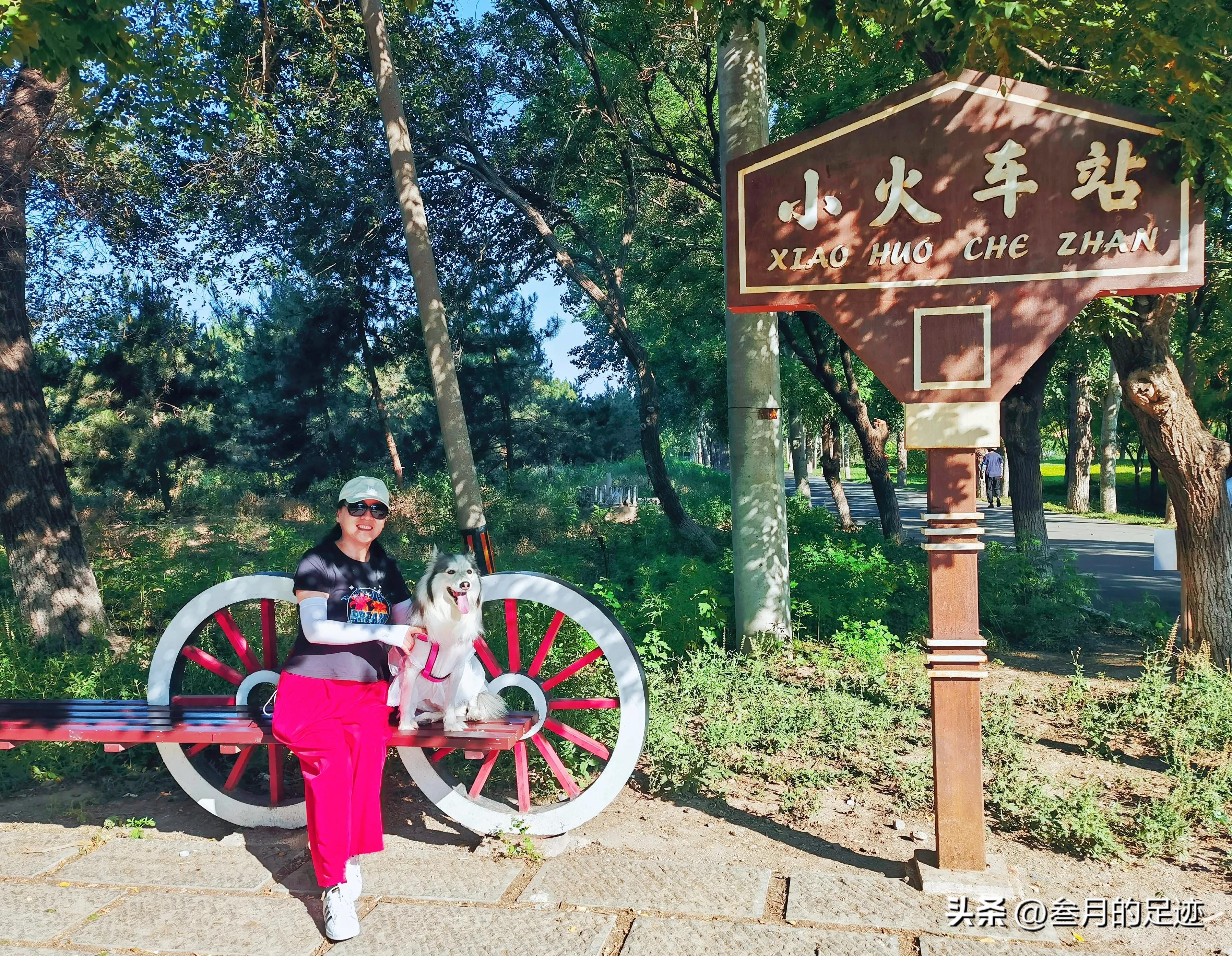 北京有铁道的公园,北京有哪些免费网红公园