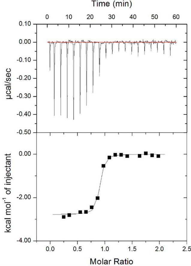 唾液酸与杜克雷嗜血杆菌周质结合蛋白之间相互作用的分子特征