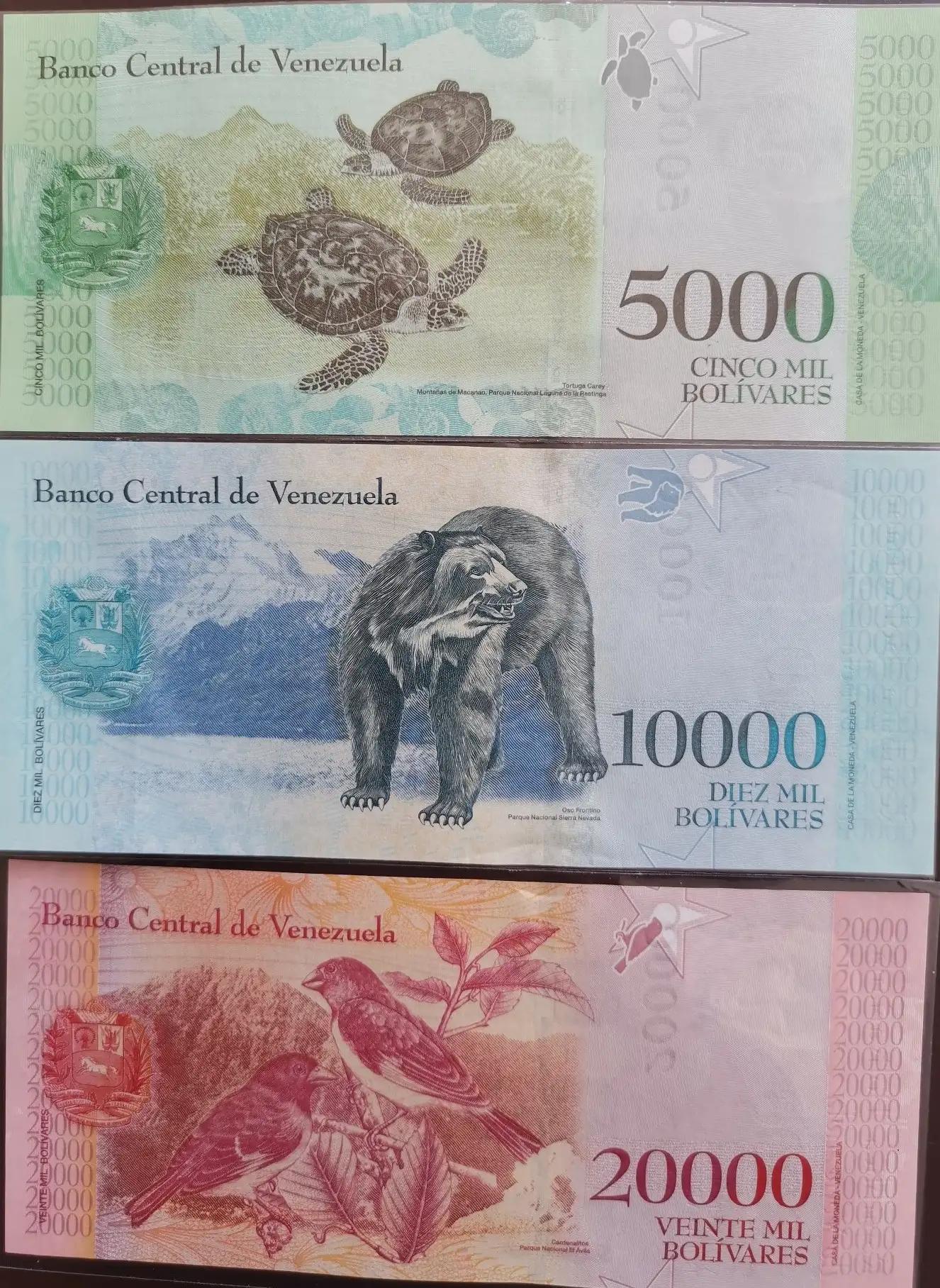 委内瑞拉纸币连号,委内瑞拉纸币演变