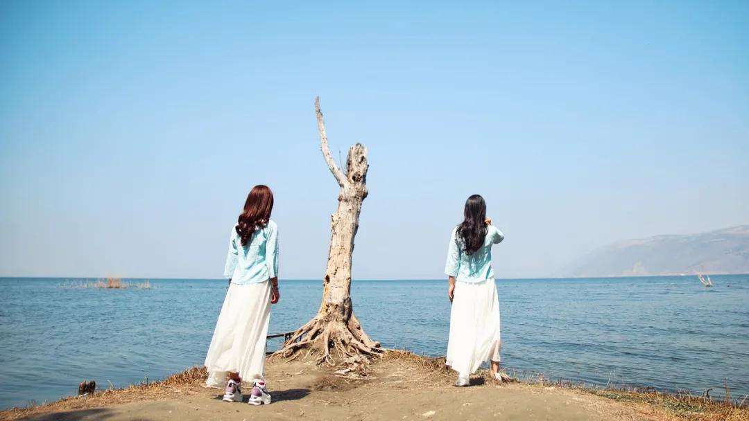 最好的社交状态是自然而然地相处,舒适的相处向下兼容