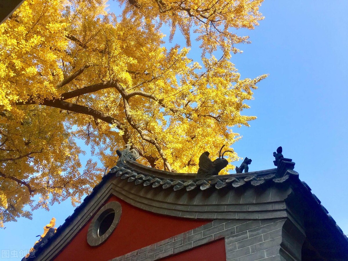 没想到济南的秋天竟然可以这样美,秋天济南哪个景区最美