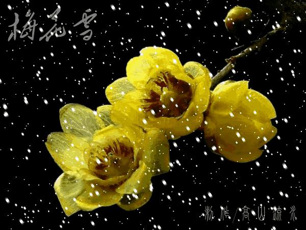 七绝迎新春古诗词,七绝迎新