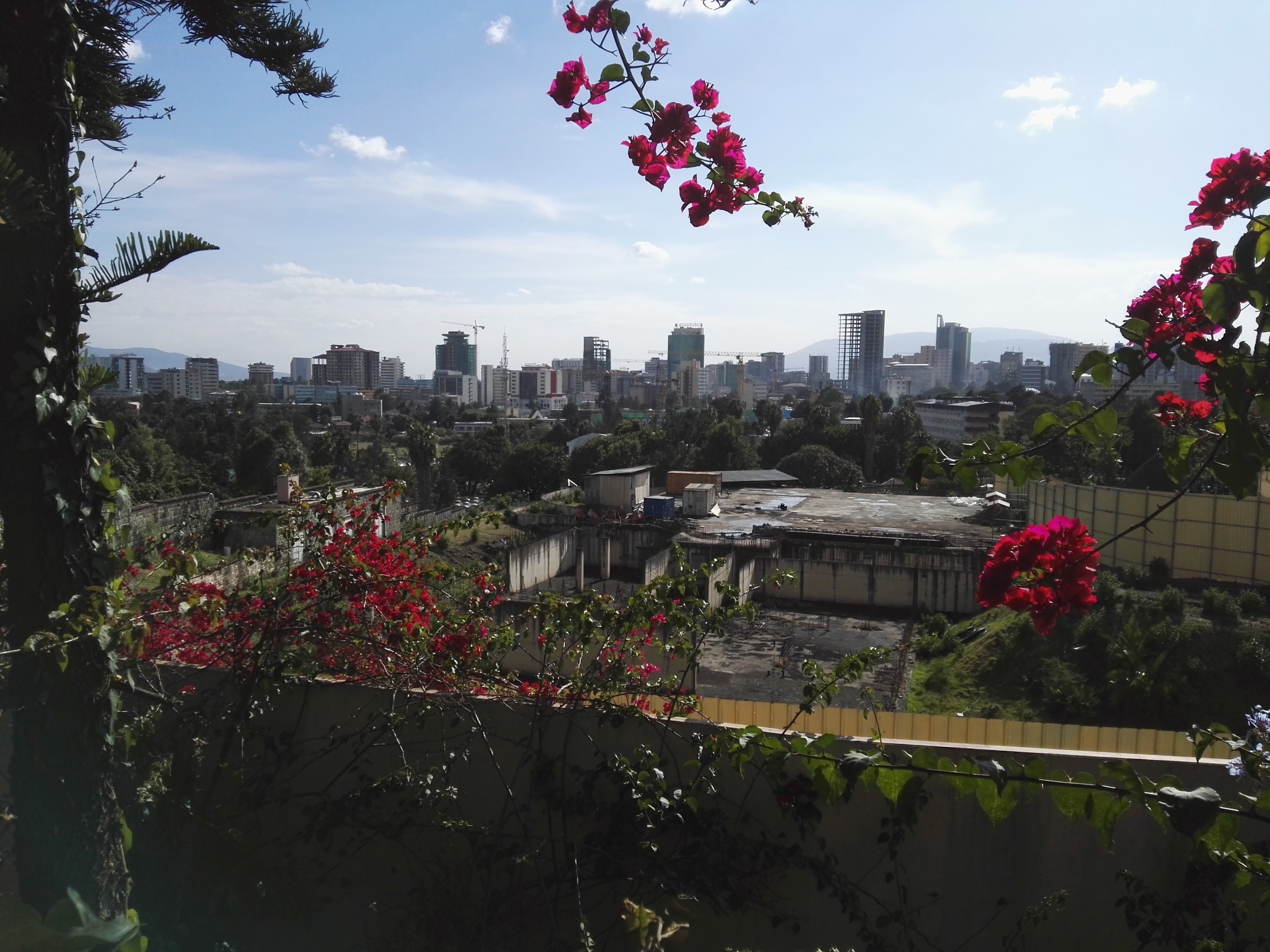 非洲开发样本：亚的斯亚贝巴在城市规划和项目策划上的缺陷