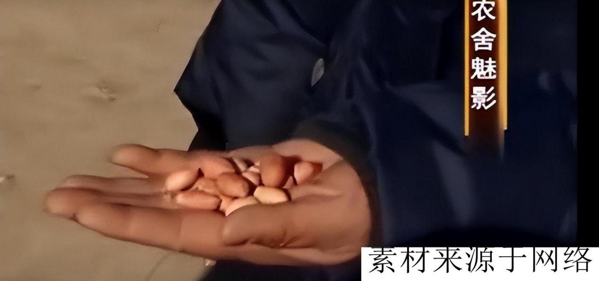 人到底能懒到什么程度？河北女孩“装瘫痪”，要家人照顾她20年