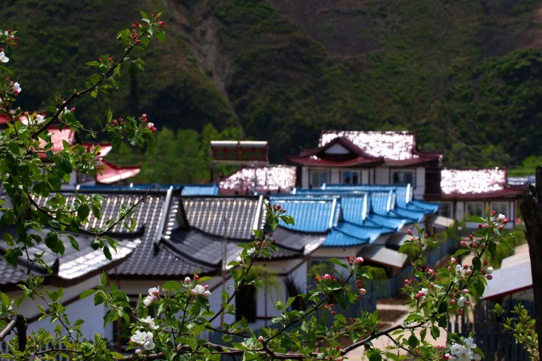 来白山,来长白山别只顾着打卡