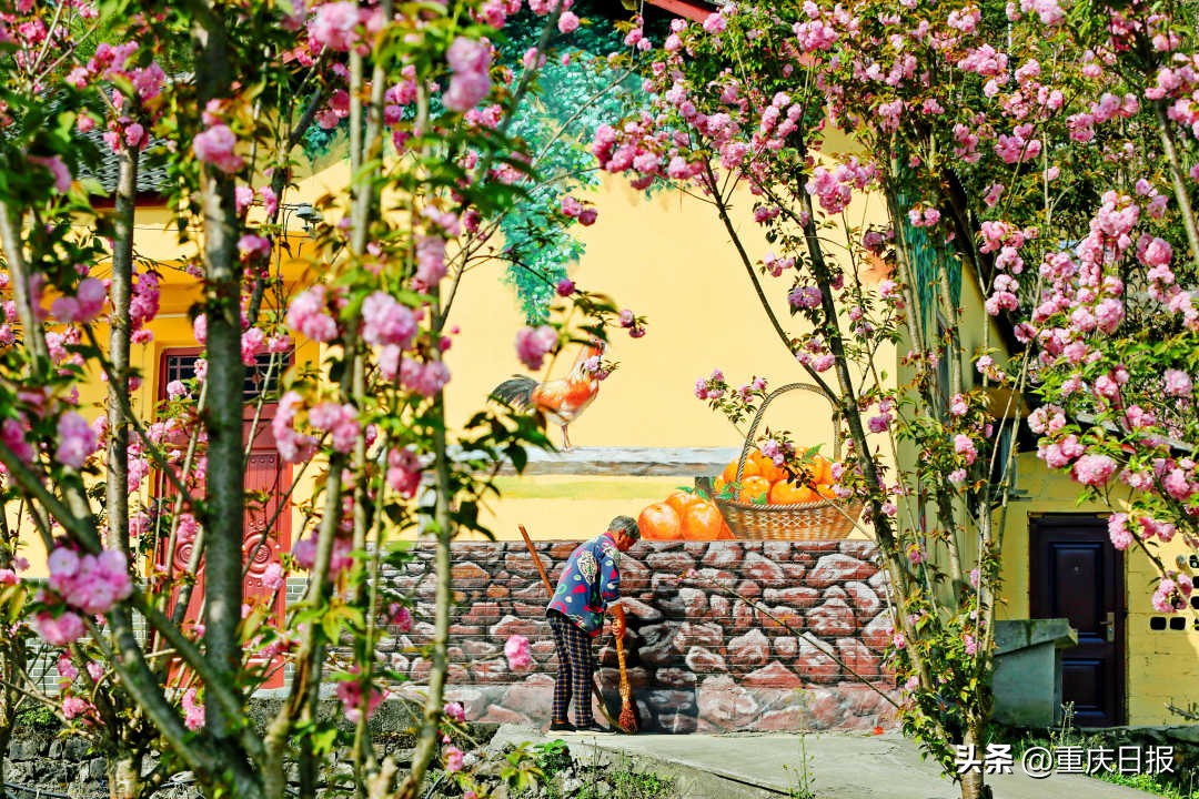 农家乐庭院效果,农家院庭院绿化效果