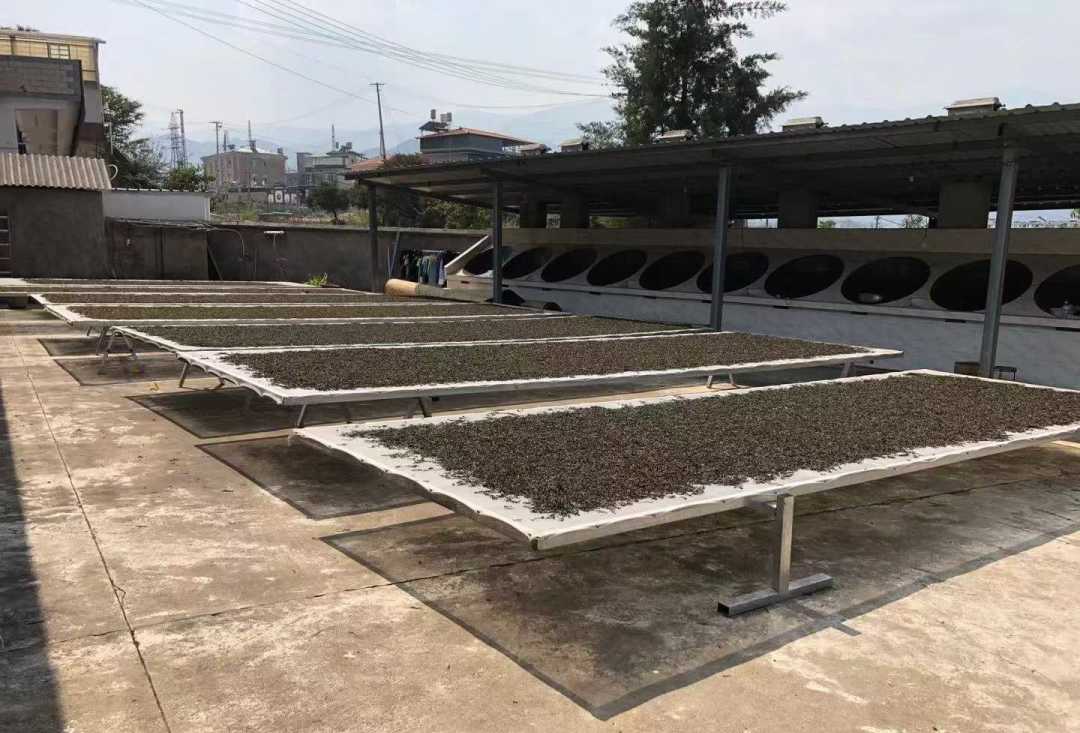 比茶难卖更可怕的是：茶老板看不到希望