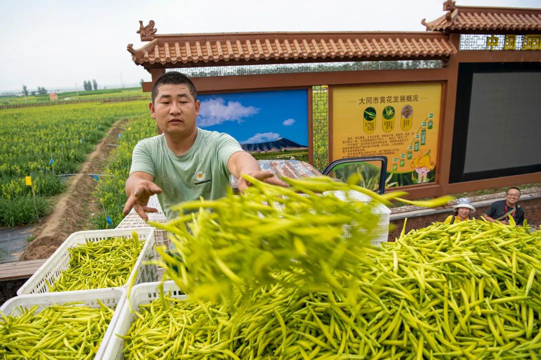 迎接党的20大美术作品,喜迎二十大乡村摄影展