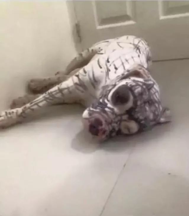 男朋友不小心将聊天记录投屏,和男朋友对话被投屏