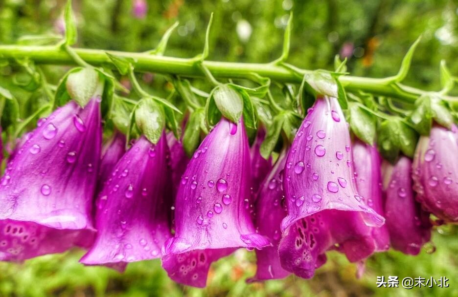 开挂必须要知道的知识,开挂需要知道的知识