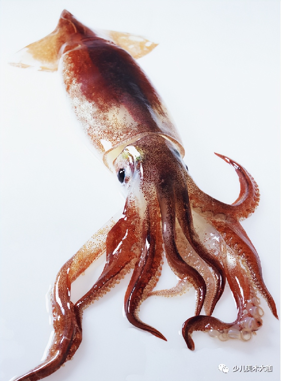 创意美术简单易学,创意美术幼儿