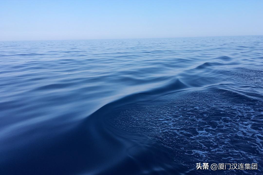 “夏日海底总动员”——盘点常见海产品的海关归类