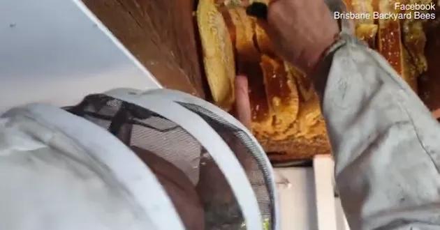 澳洲夫妇家墙壁突然莫名“渗血”!两人鼓起勇气拆开墙