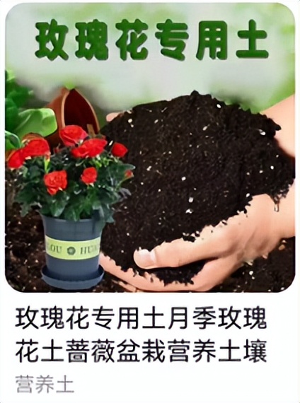 种菜推荐买哪个营养土好,种菜用什么牌子的营养土最好